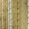 Bamboo W7025-02